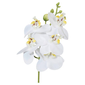 Umělá Rostlina Phalaenopsis, V:27cm,bílá