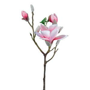 Umělá Rostlina Magnolie, V: 69cm