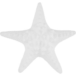 Hvězdice Mořská Dekorační Anna