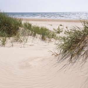 Obraz skleněný Leaving Into A sand Dune