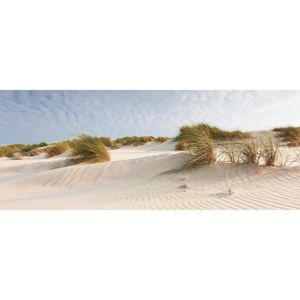 Obraz skleněný Windy sand Dunes