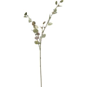 Rostlina umělá Eukalypthuszweig I